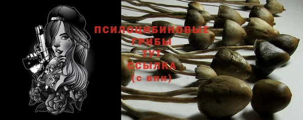 первитин Сафоново