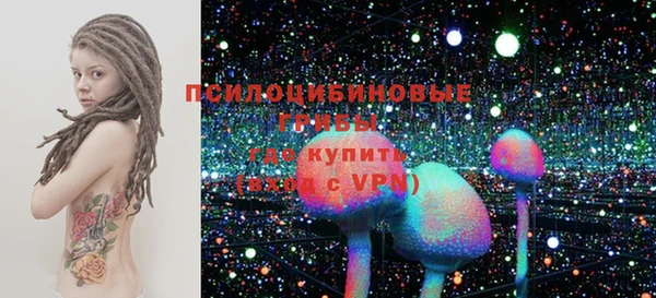 ПСИЛОЦИБИНОВЫЕ ГРИБЫ Новокубанск