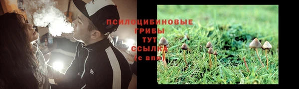 ПСИЛОЦИБИНОВЫЕ ГРИБЫ Чегем
