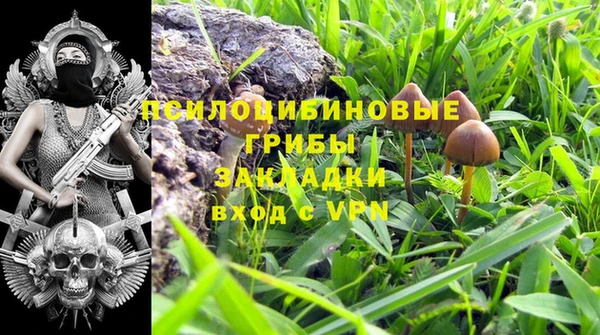ПСИЛОЦИБИНОВЫЕ ГРИБЫ Новокубанск