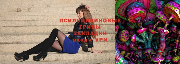 ПСИЛОЦИБИНОВЫЕ ГРИБЫ Новокубанск