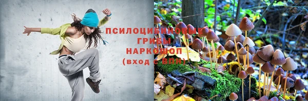 мефедрон Новодвинск